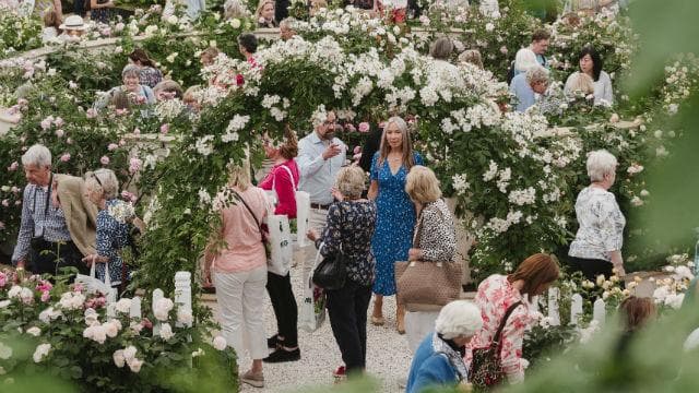 RHS Chelsea Flower Show