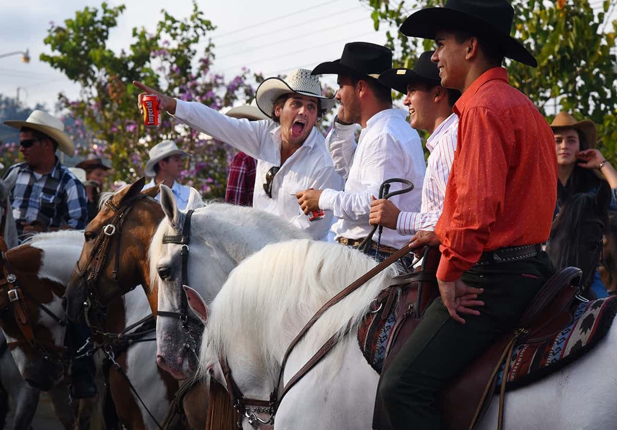 Fiestas de Palmares
